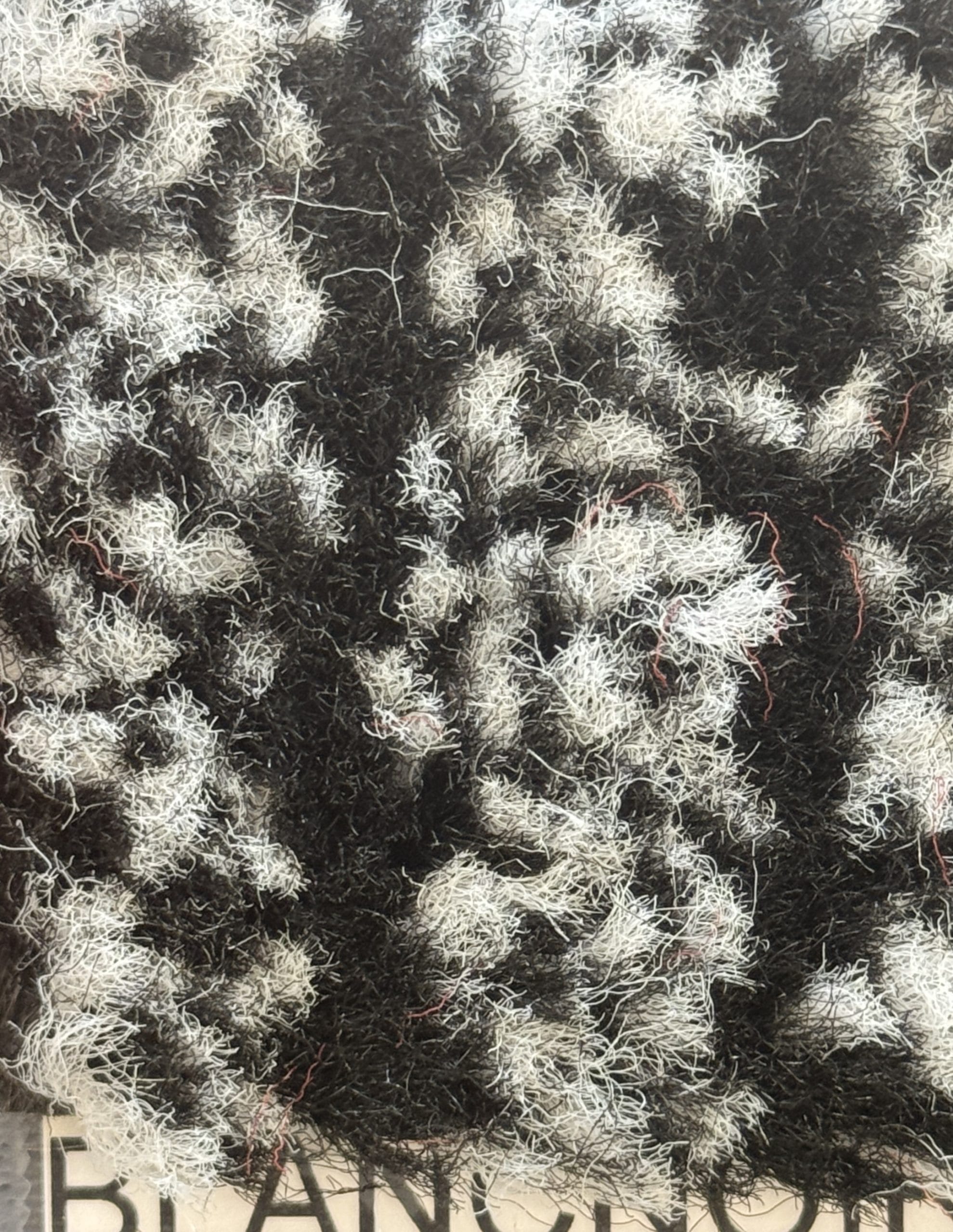 TAPIS HIVER - NOIR/BLANC - NYLO KLEEN