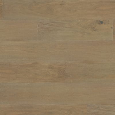 Foster - 1603
