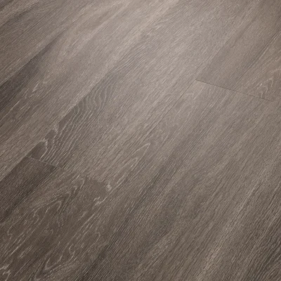 World's Fair - Dublin