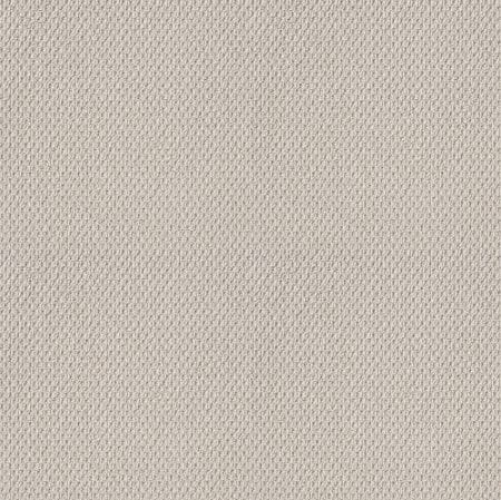 Naturalistic - 5E442