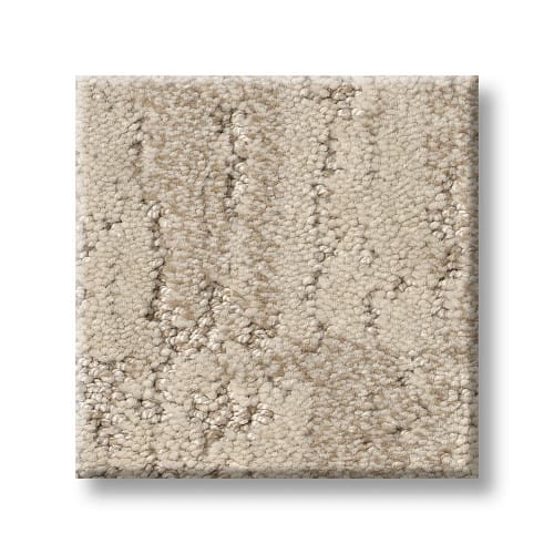 Trace – ZZ319