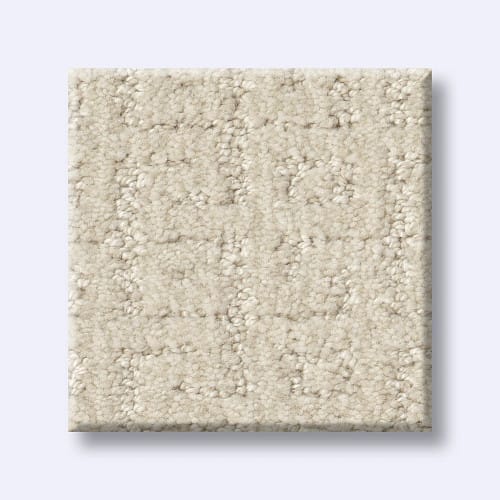 Vignette – ZZ330