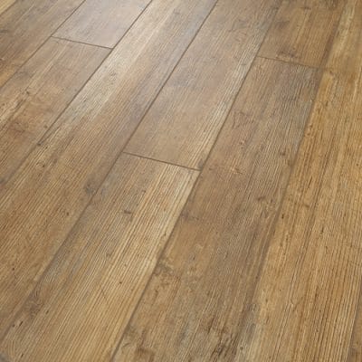 Paragon 5" Plus - 1019V