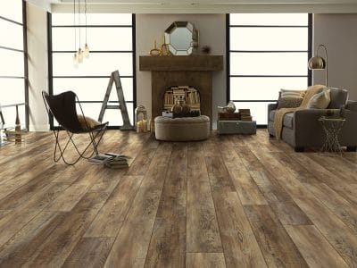 Pantheon HD Plus - 2001V