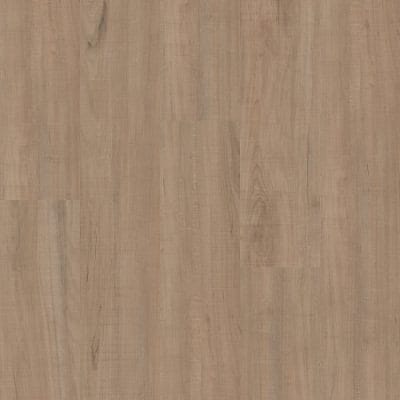 Ardent - 5606V