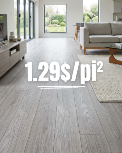 Plancher de Vinyle SPC 6"x48" Liquidation 1.29$/pi² - Aloft Revere Elm – Silverpointe (Pointe d’Argent)