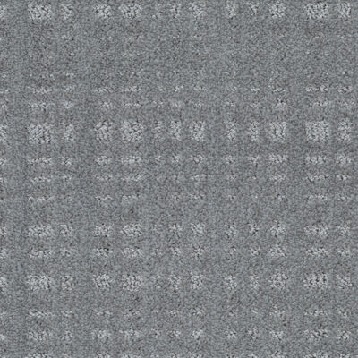 1789_84175.jpg Loge tangara - J1789