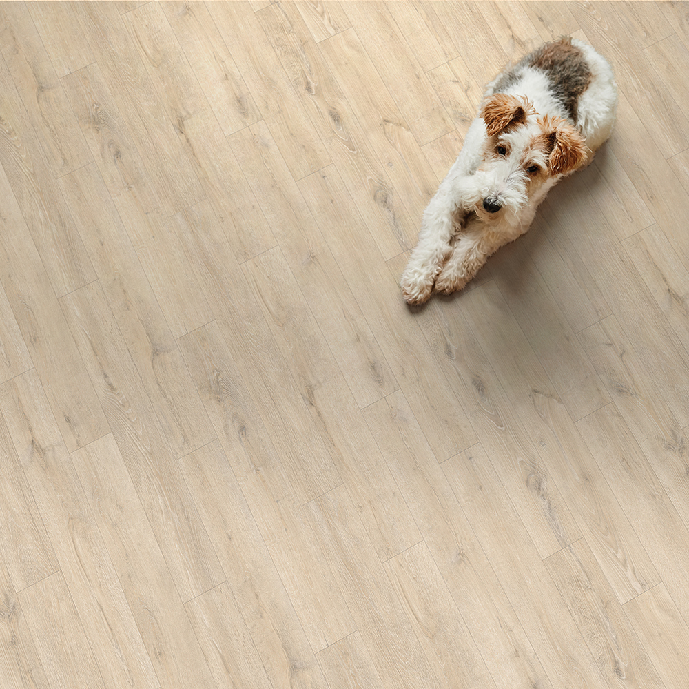 Clair de lune beige pâle – B0185
