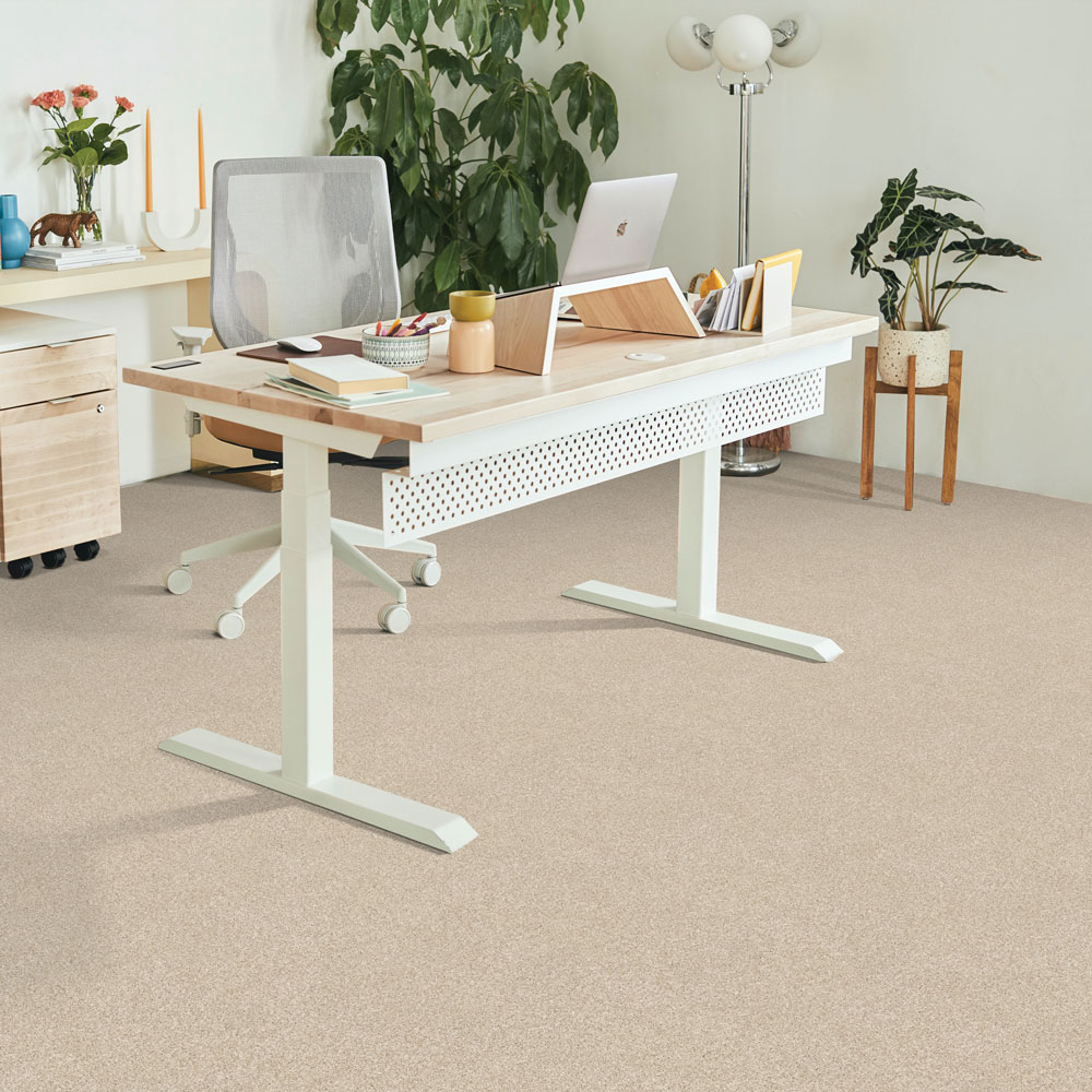 Ambiance chaleureuse – J4976