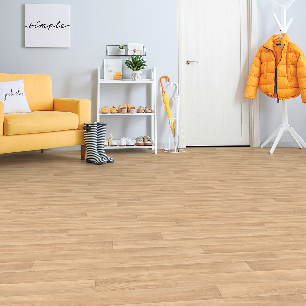 Sous-bois naturel – B0203