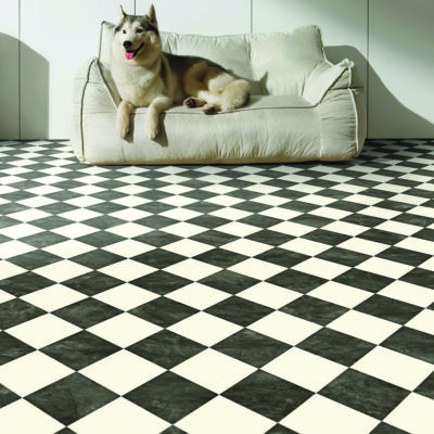 STX01_5558b0.jpg Harlequin foncé - B0117
