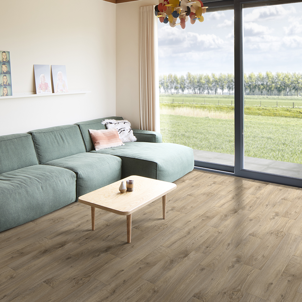 Chêne amberline – B0244