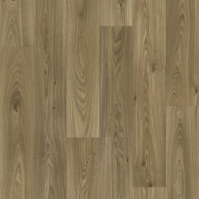 Sommet ambre - B0104